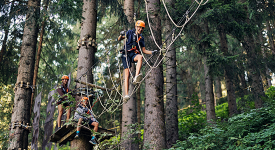 Treetop Trekking
